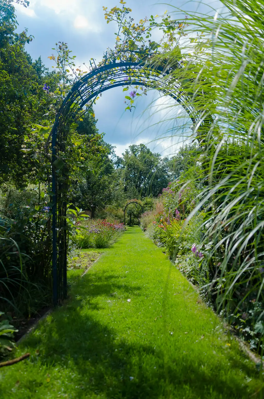 ¿Cuánto cobrar por mantención de jardines?
